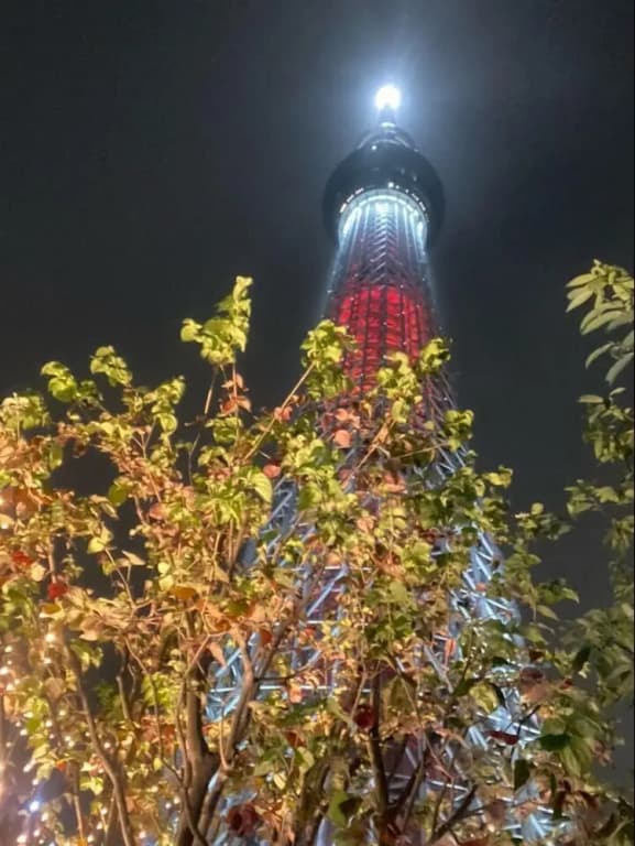 Mitsuba - photo 22