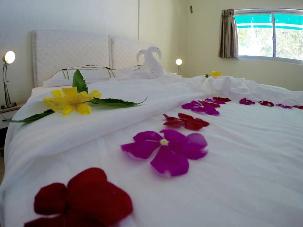Luau Beach Inn - photo 6
