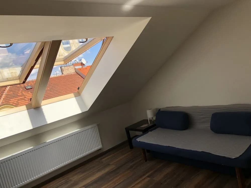 Blahnikova Apartments - photo 6