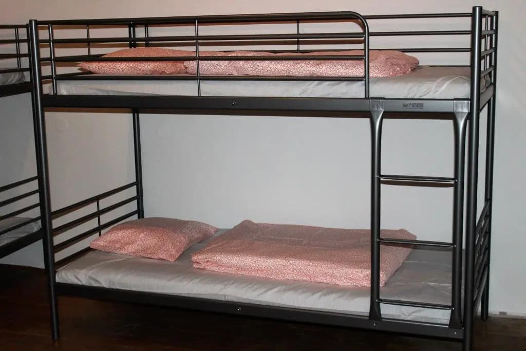 Black Dog Hostel - photo 5