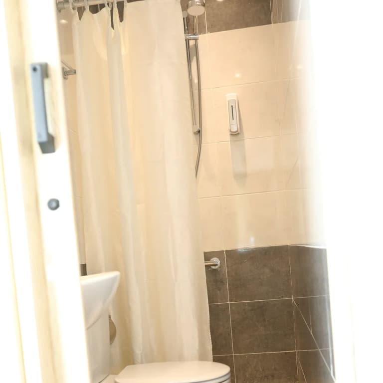 New Midtown Hotel - photo 9