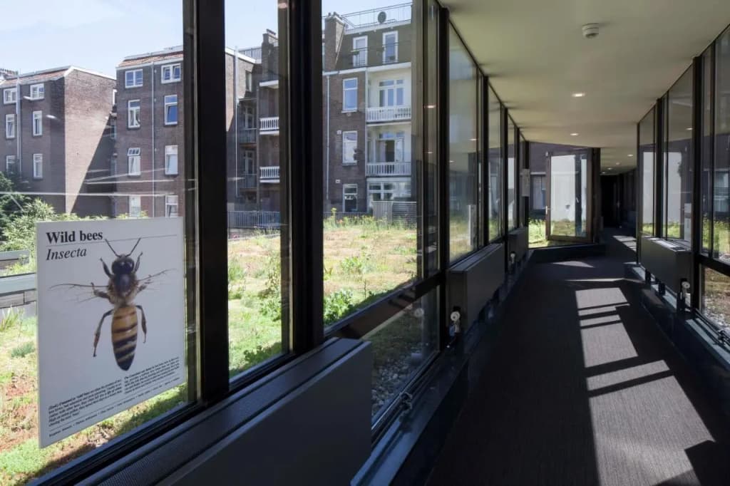 Conscious Hotel Vondelpark - photo 7