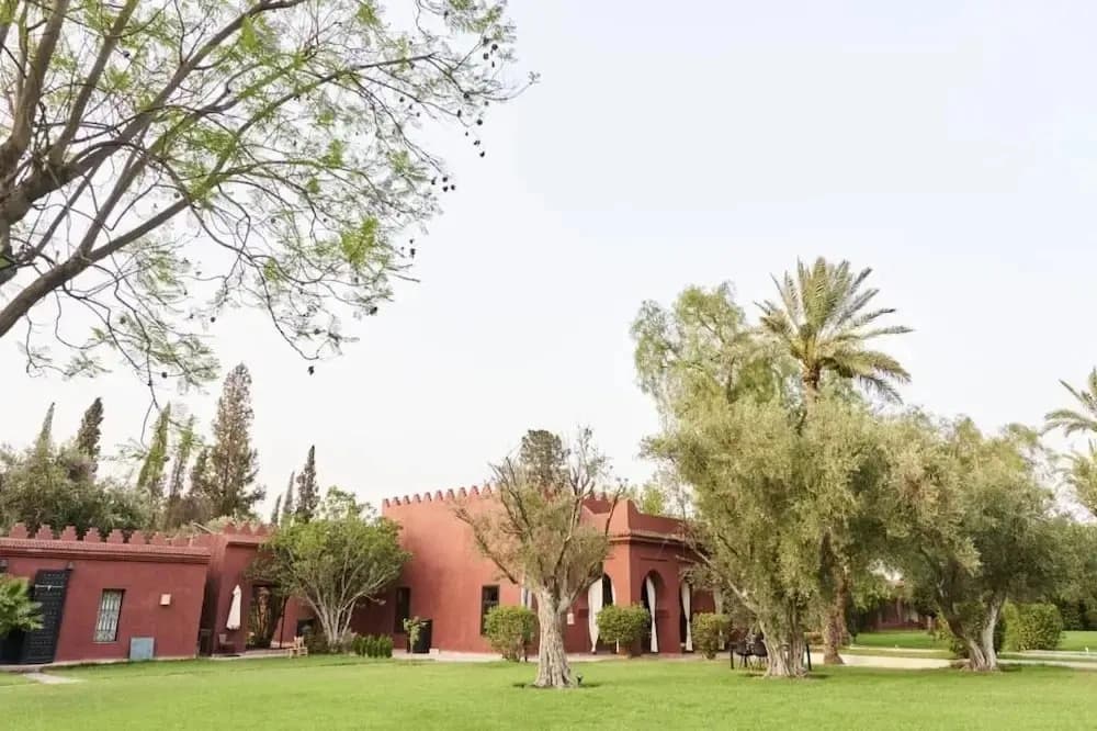 Bab Akoul Palmeraie - Maison d'hôtes & Spa - photo 28
