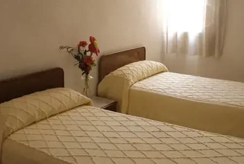 Hostal Veguin - photo 4