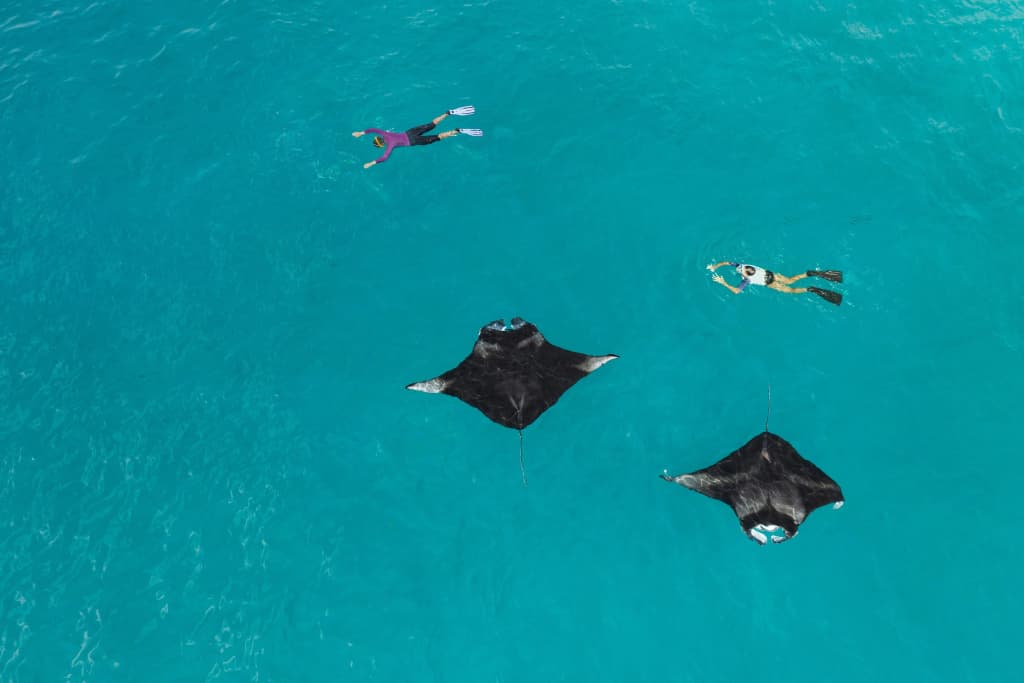 The Westin Maldives Miriandhoo Resort - photo 40