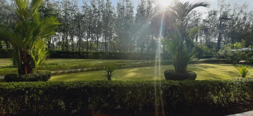 Phuket Sirinapha Resort - photo 25
