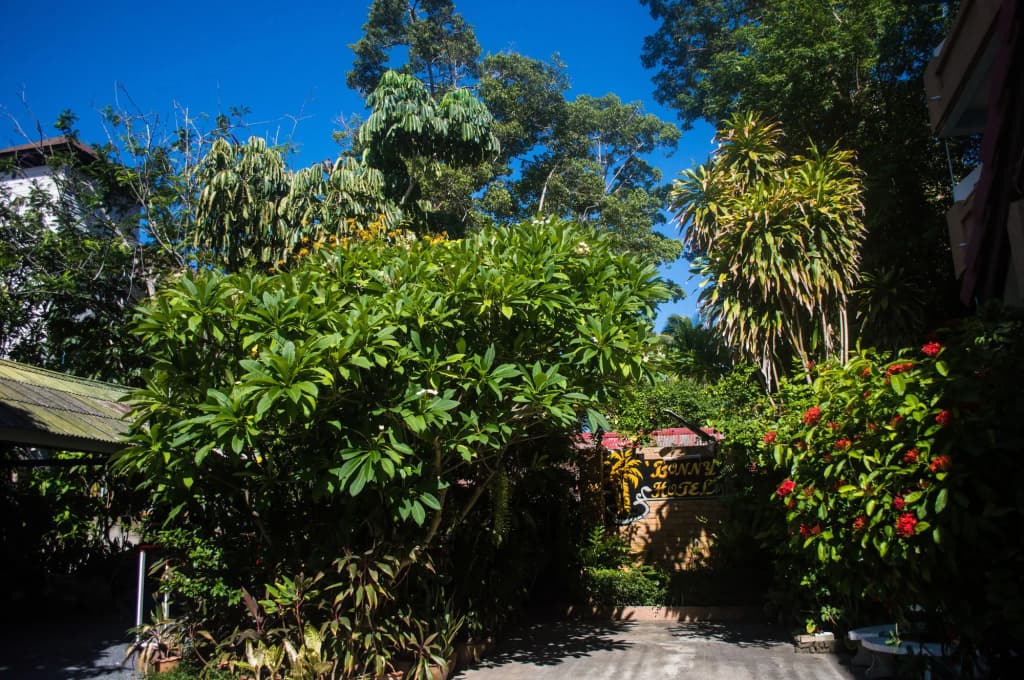 Bonny Hotel - photo 22