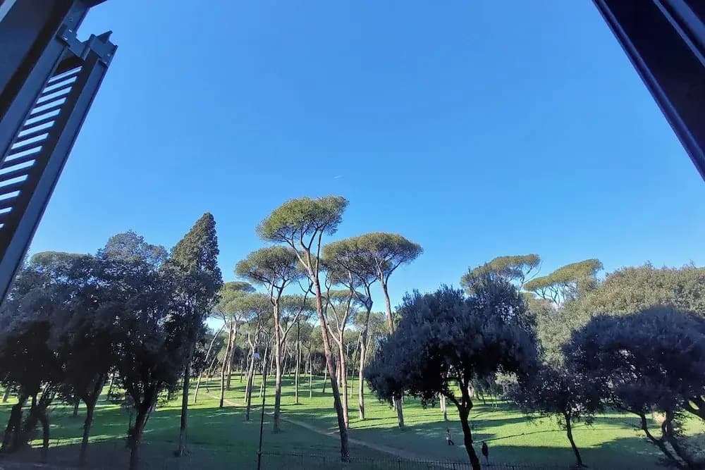 Borghese Park View - photo 14