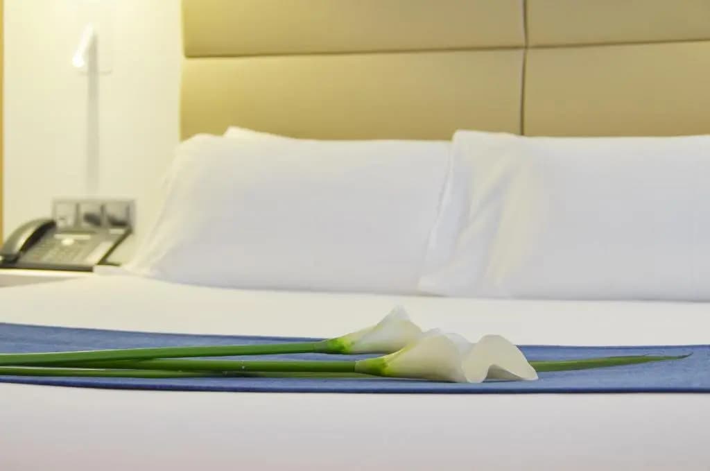 Hotel Miau - photo 4