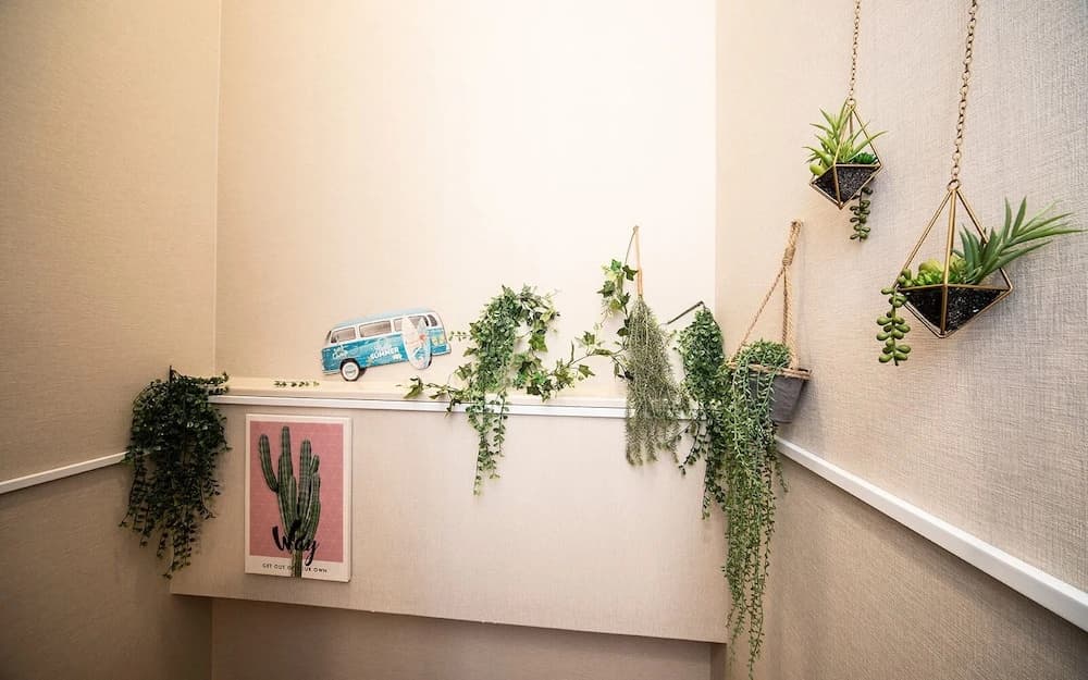The Terrace Hostel Shinbashi - photo 10