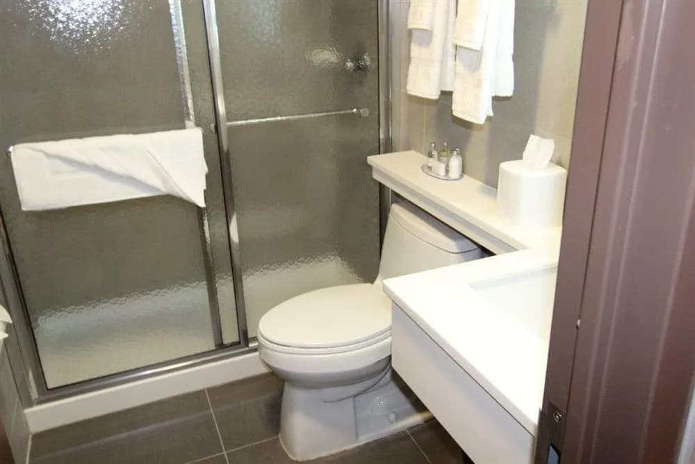 Hotel Lynx - photo 9