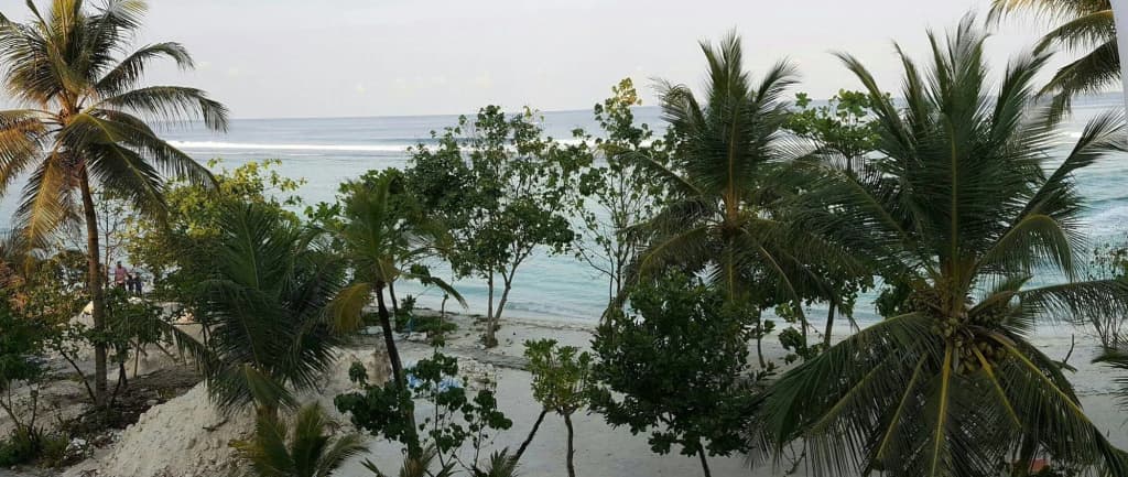 Hotelodge Aloevera Beach - photo 2