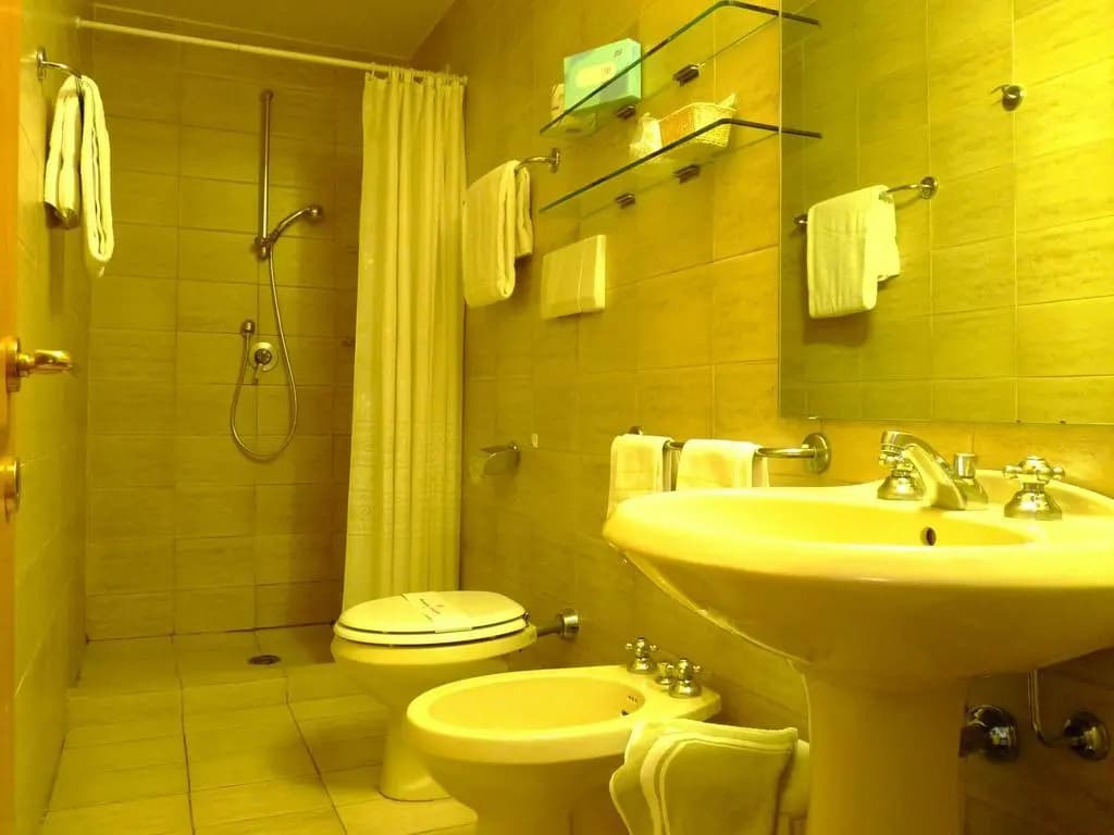 Classic Hotel - photo 8