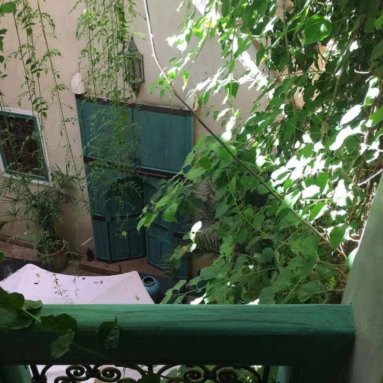 Riad Kalila - photo 9