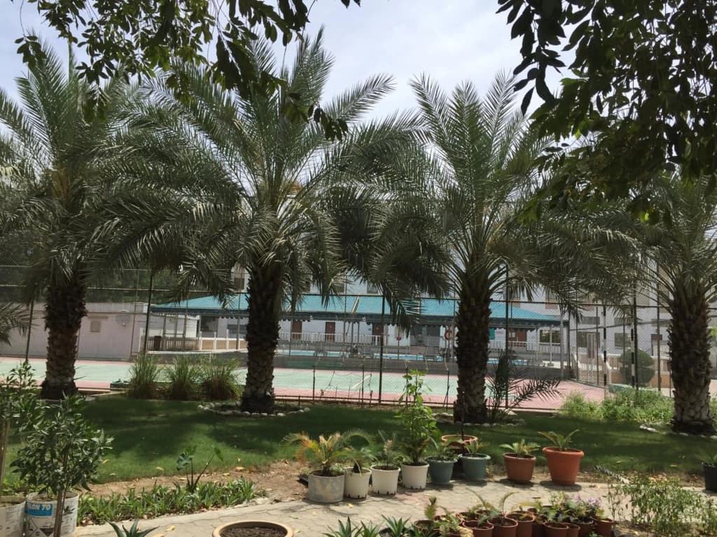 Hotel Al Madinah Holiday - photo 19