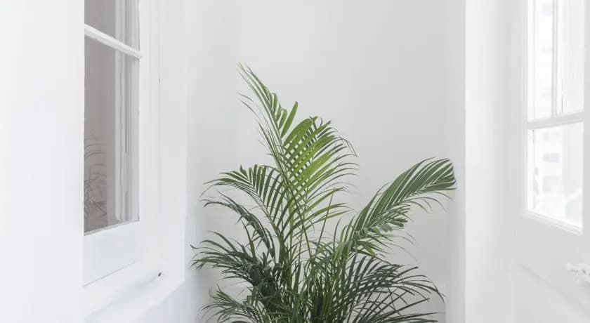 Apartment LoveBarcelona - photo 9