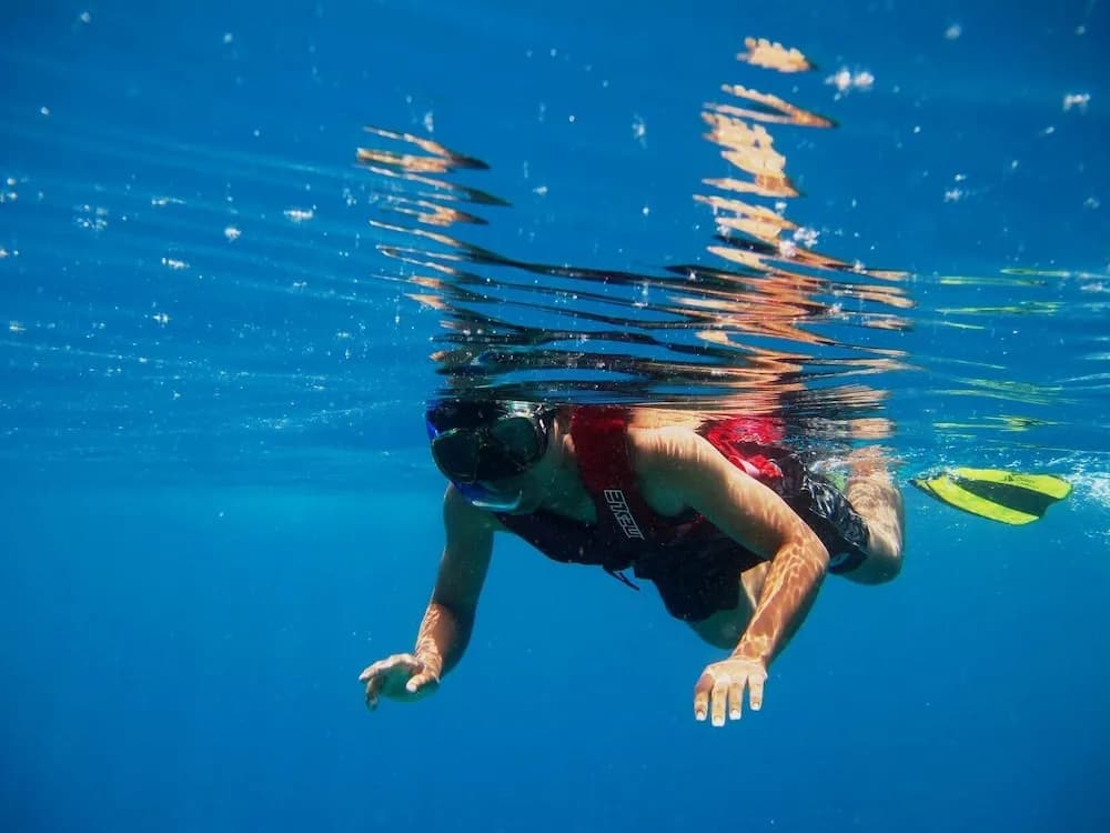 Suffix Retreat - Stay, Dive & Explore Fuvahmulah - photo 13