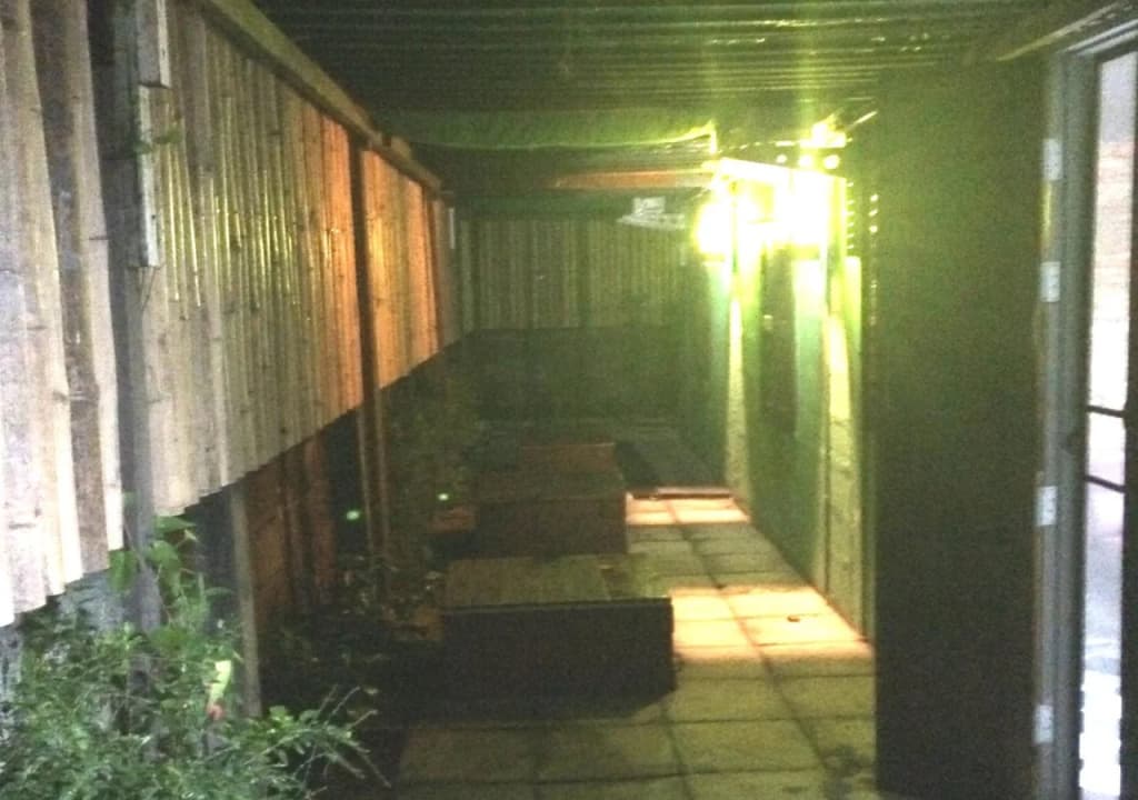 Green House Backpacker - photo 4