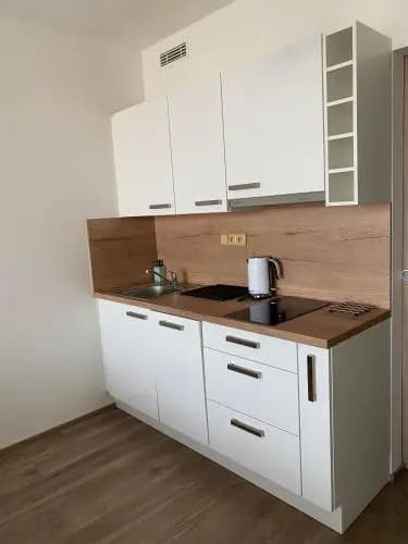 Apartment David O2 Arena Prague - photo 17