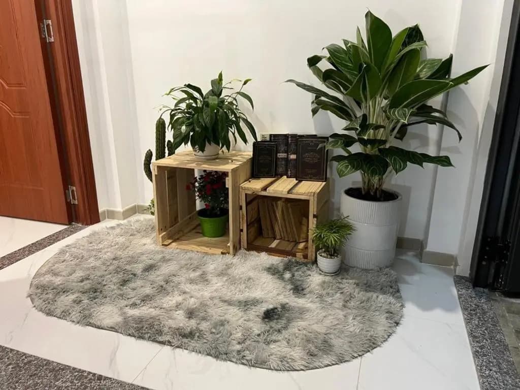 Thuong's House 2 - photo 4