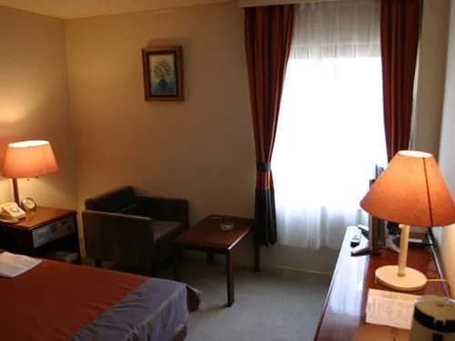 Sakuraan Higashiyama Sanjo Hotel - photo 4