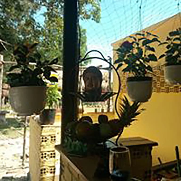 The Birdhouse - photo 42