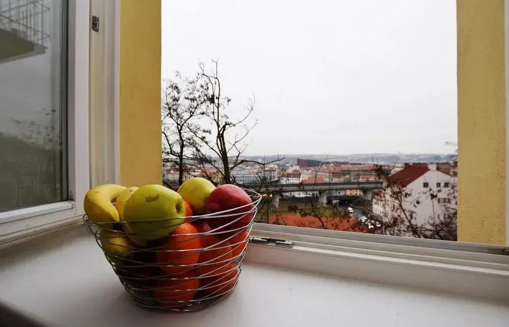Budget Rehorova Apartments - photo 8
