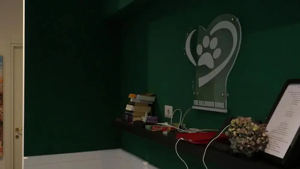 Rome Billabong Hostel - photo 16
