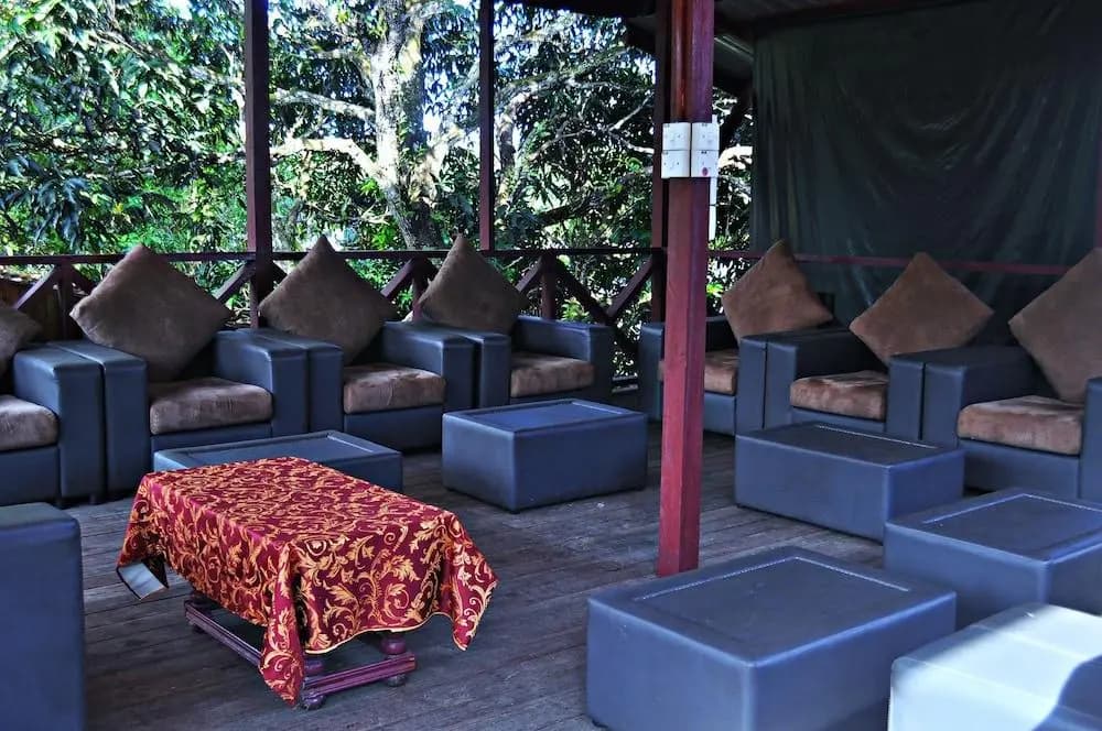 Sukau Greenview Bed and Breakfast - photo 9