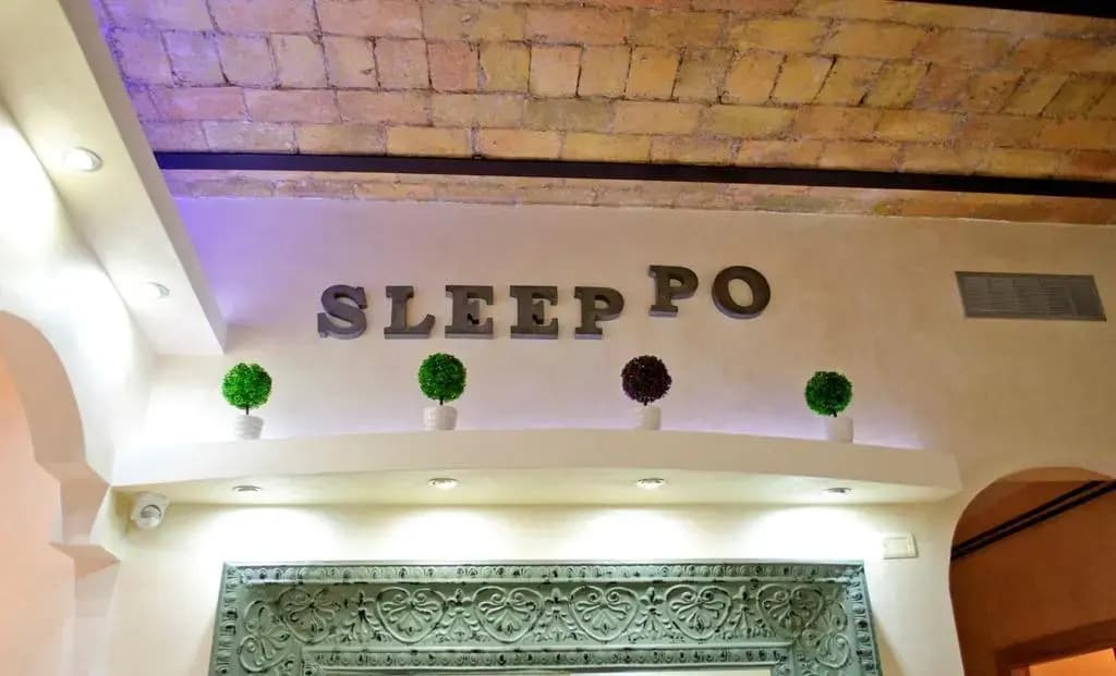 Sleeppo - photo 10