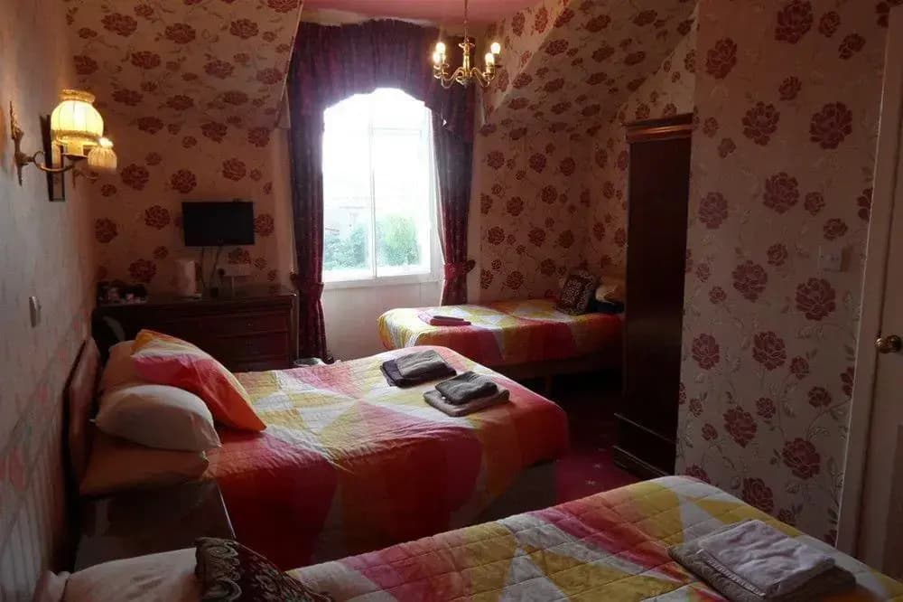 Ivy Guest House - photo 12