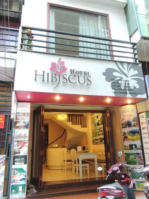 Hanoi Hibiscus - main photo