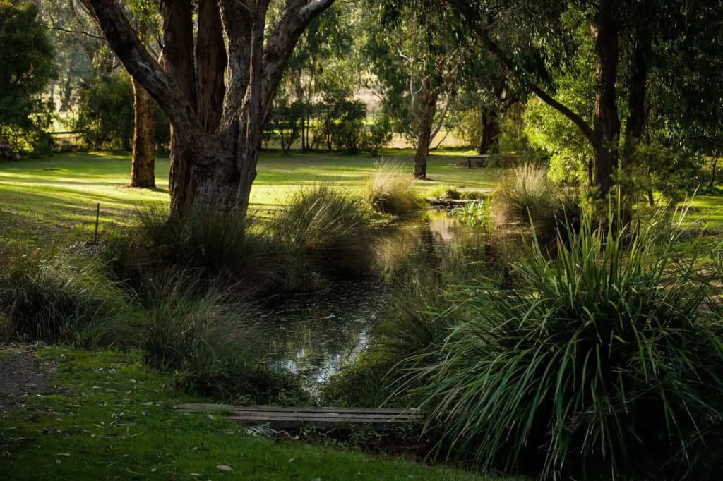 The Burrow At Wombat Bend - photo 8