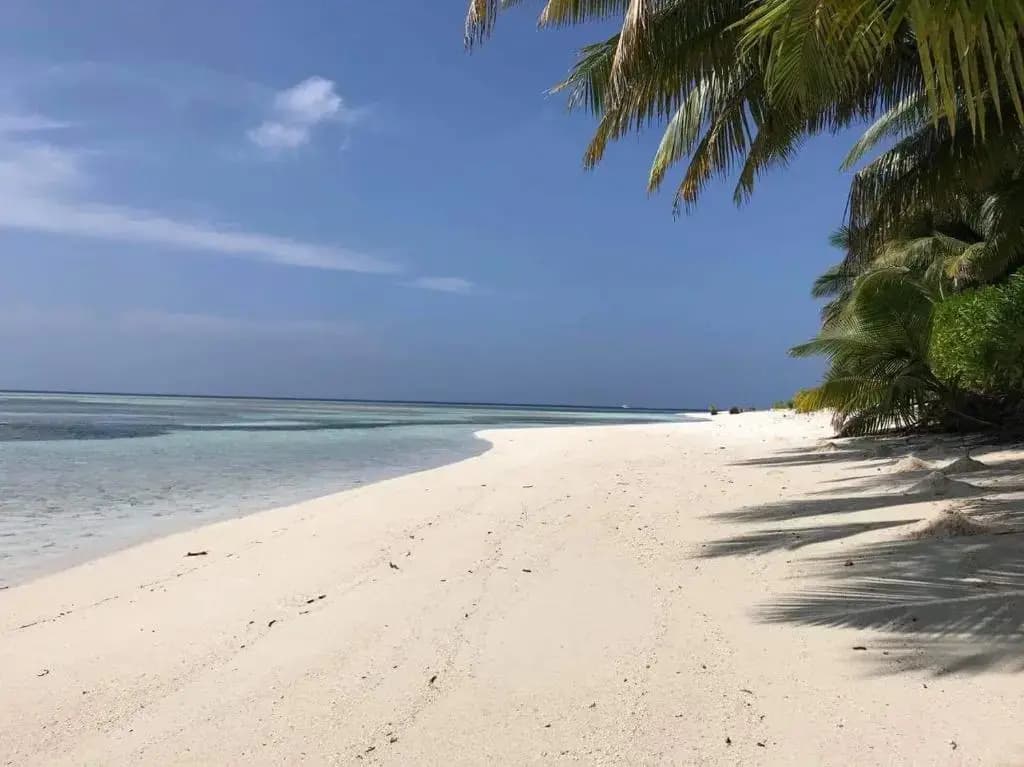 Veyvah Inn Maldives - photo 10