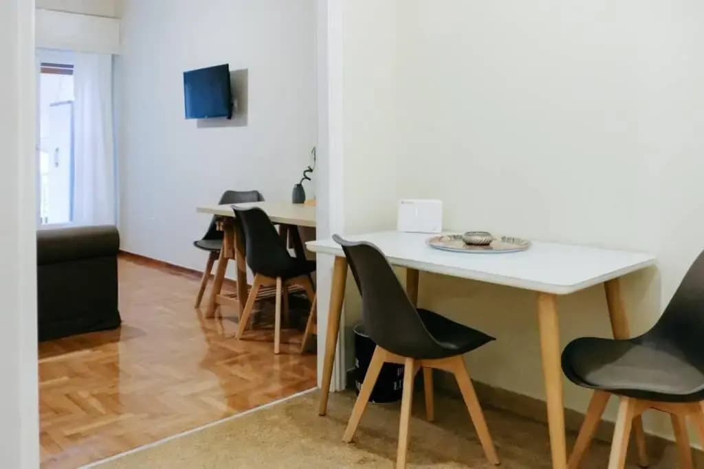 Newly Renovated Athenian Apt - photo 3