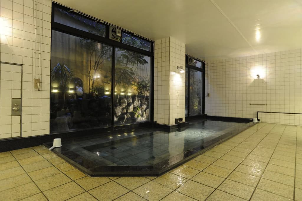 Saga Grace Hotel - photo 12