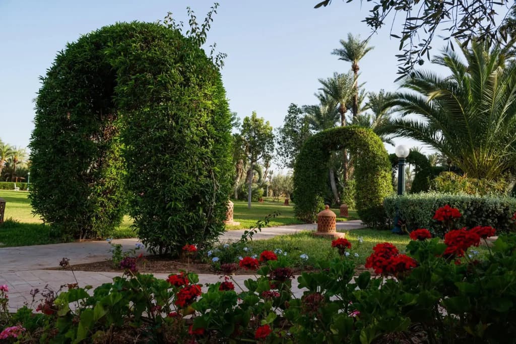 Palais Mehdi Guest house - photo 9