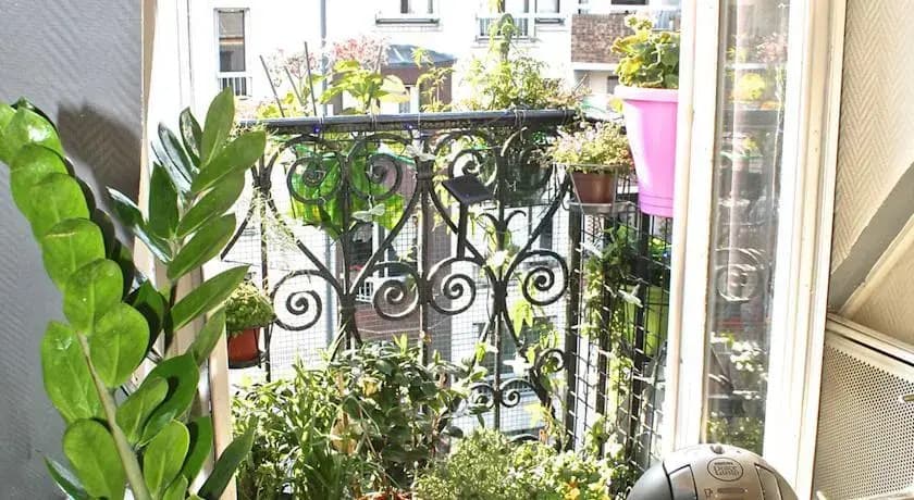 Charming Studio With Two Balconies - photo 10
