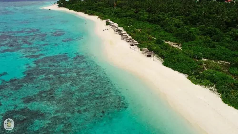 Shifa Lodge Maldives - photo 25