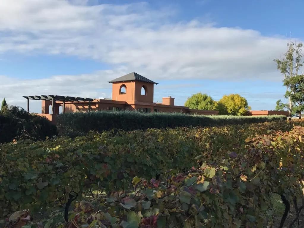 Room-frogs Pond Vineyards - photo 6