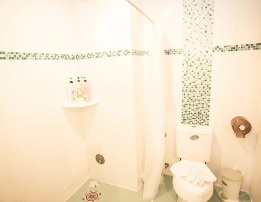 Thai Classic Hotel - photo 7
