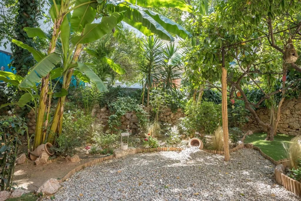 Athens Garden House - Heated Jacuzzi - free bikes - photo 12