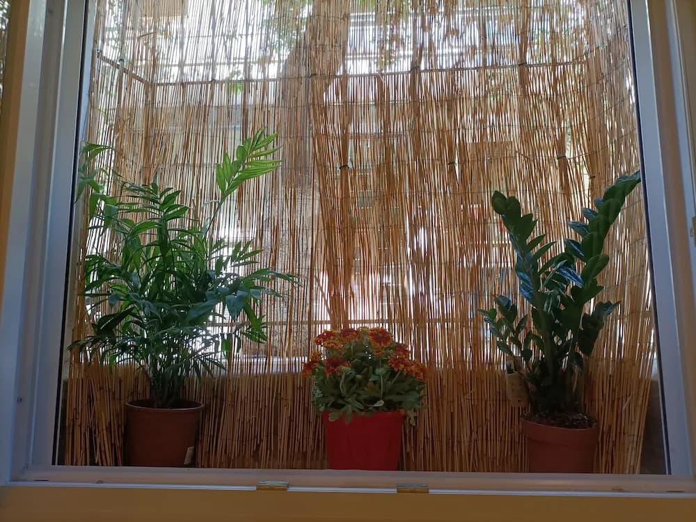 Traveler's Nest - photo 13