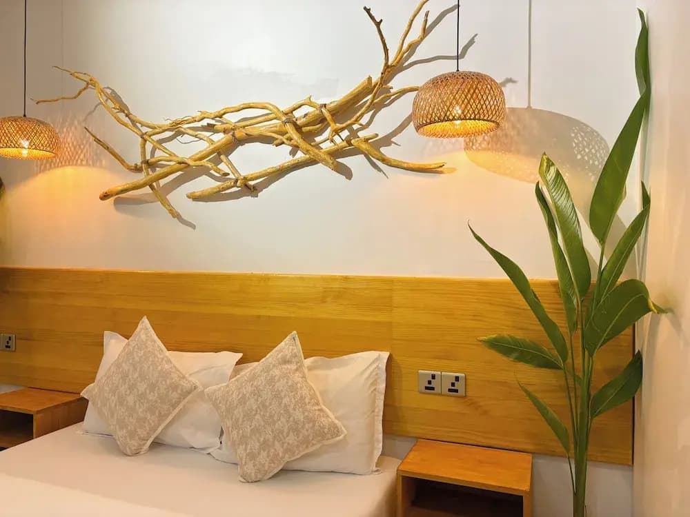 Eco Palm Maldives - photo 5