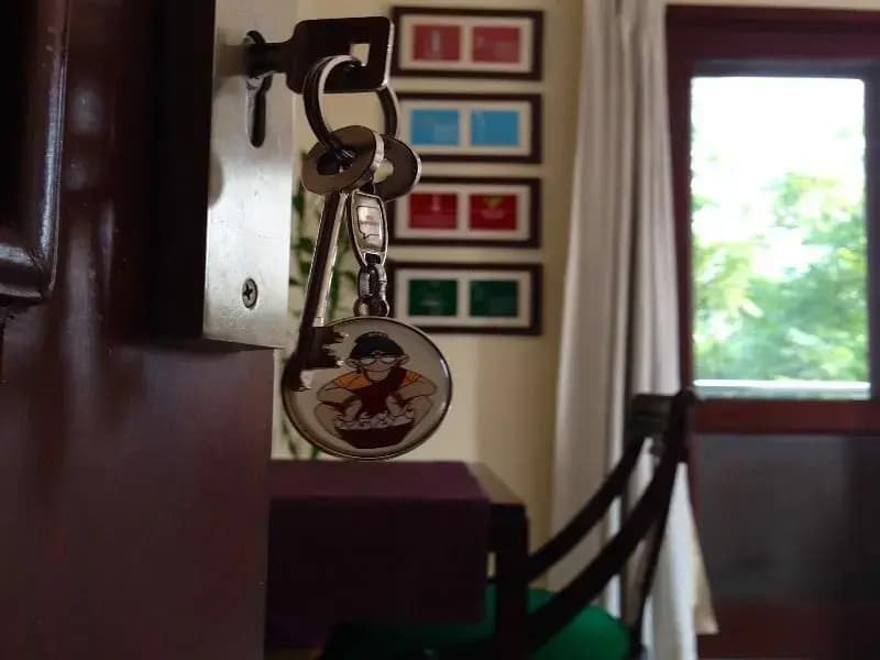 Saket Bed and Breakfast - photo 15