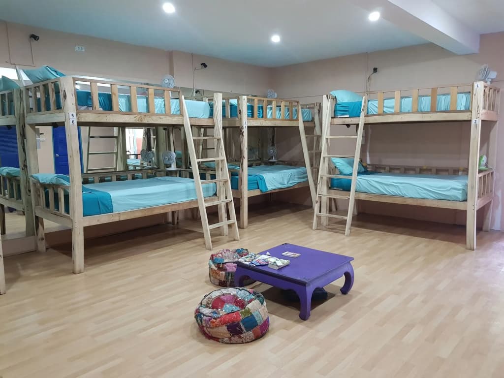 Casa Luna Hostel - photo 20