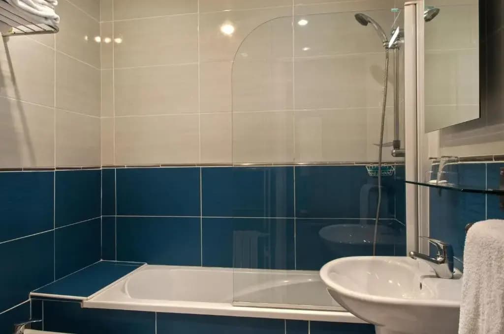Hotel La Vieille France - photo 9