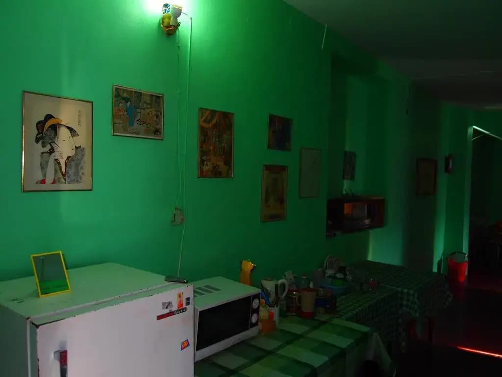 Green Stairs Guest house - photo 16