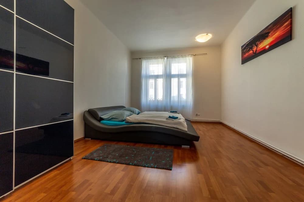 Apartmany Letna U Sparty - photo 26