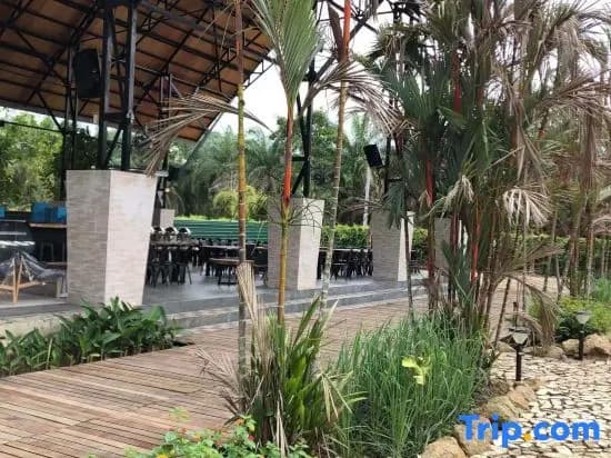 The Firefly Resort - photo 6
